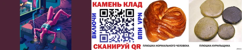mega как зайти  купить закладку  Дальнереченск  Гашиш VHQ 
