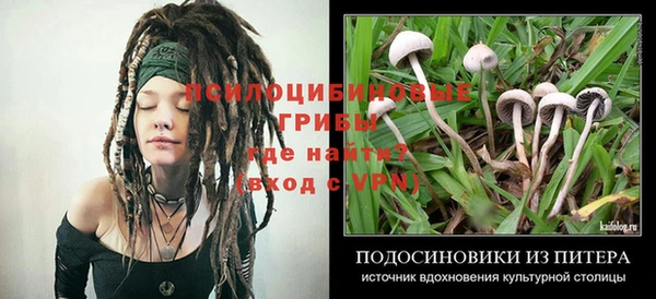 шишки Абдулино